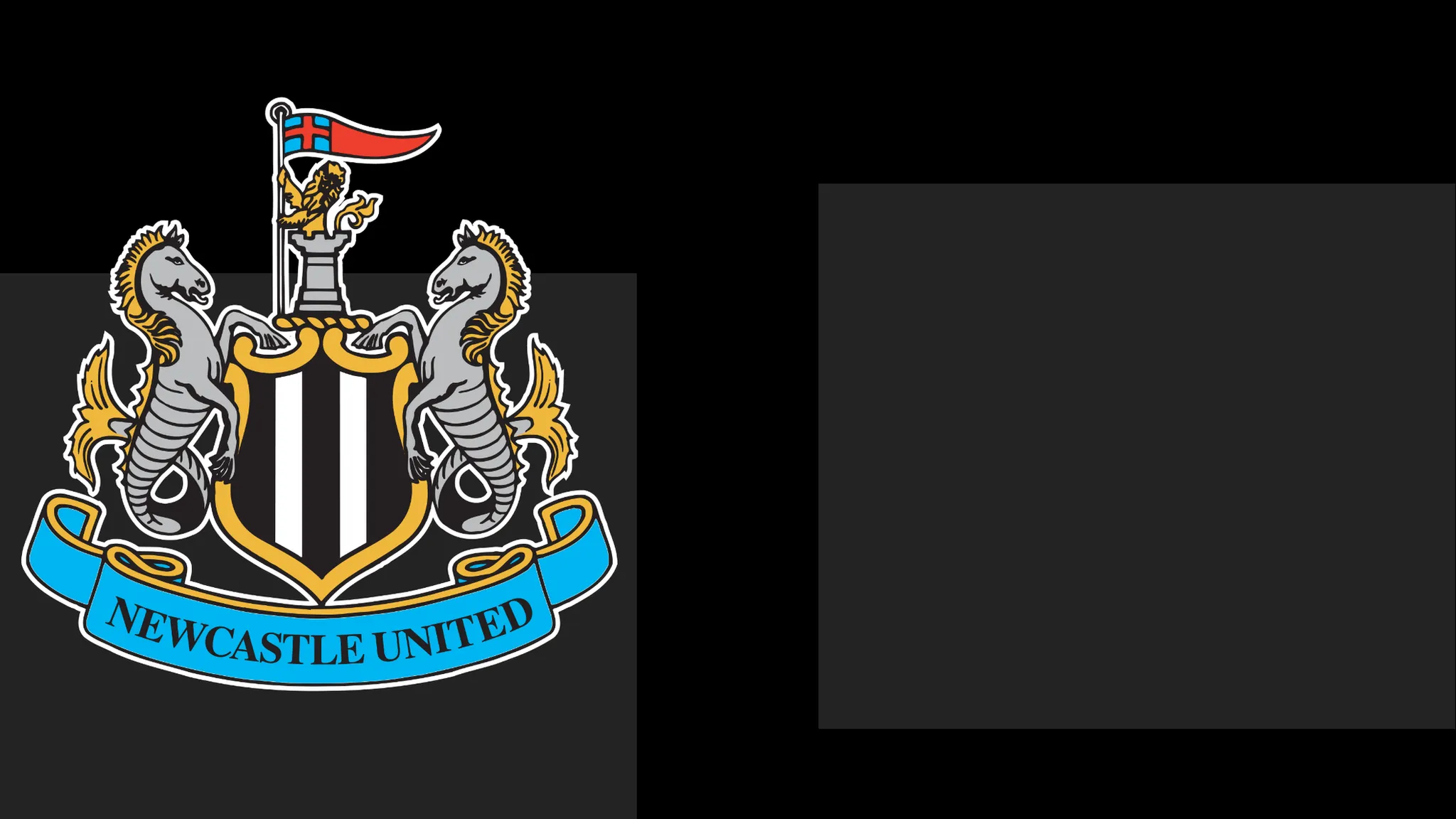 Newcastle Extend Statement of Regret to Supporters Over Matchday Issue