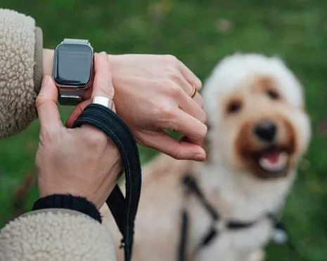 The Reality Concerning Smartwatches? Daily Existence Feels Fuller Lacking a Bossy Device on Your Wristwear